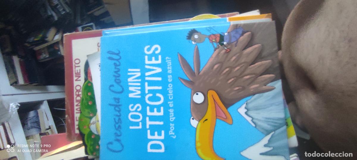 Libros de segunda mano: Los mini detectives &mdash; &iquest;Por qu&eacute; el cielo es azul? &mdash; Cressida Cowell