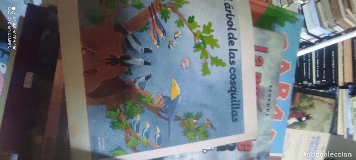 Libros de segunda mano: ARBOL DE LAS COSQUILLAS, EL (R) - STRATHIE, CHAE