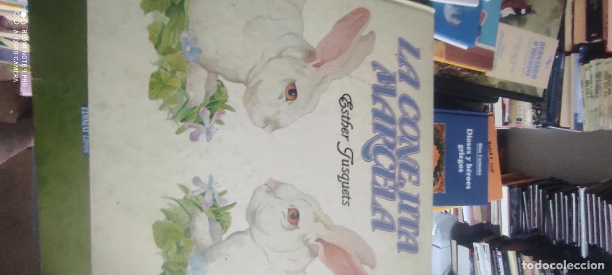 Libros de segunda mano: LA CONEJITA MARCELA - Tusquets,Esther