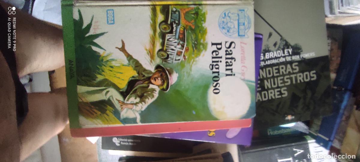 Gebrauchte B&uuml;cher: SAFARI PELIGROSO LORETTA GREY PANDA DEL CUATRO