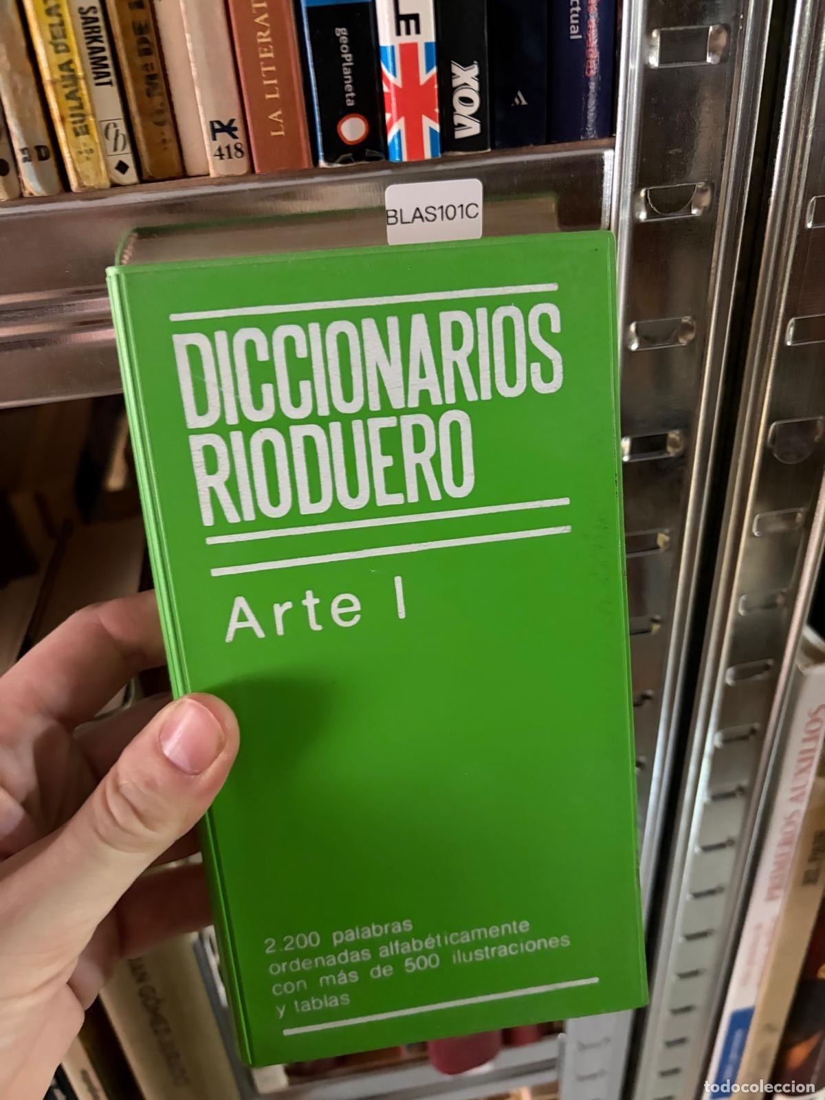 Libros de segunda mano: BLAS101C Diccionarios Rioduero Arte 1