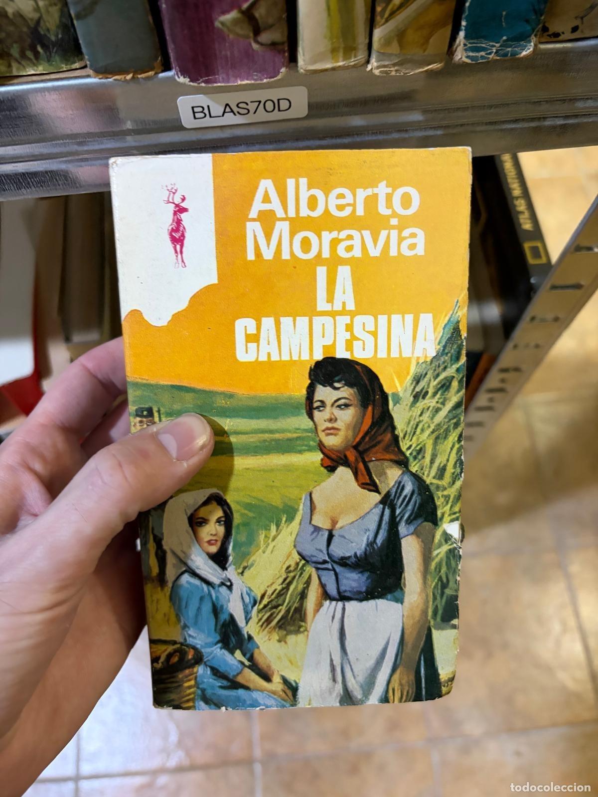 Libri di seconda mano: BLAS70D La campesina Alberto Moravia