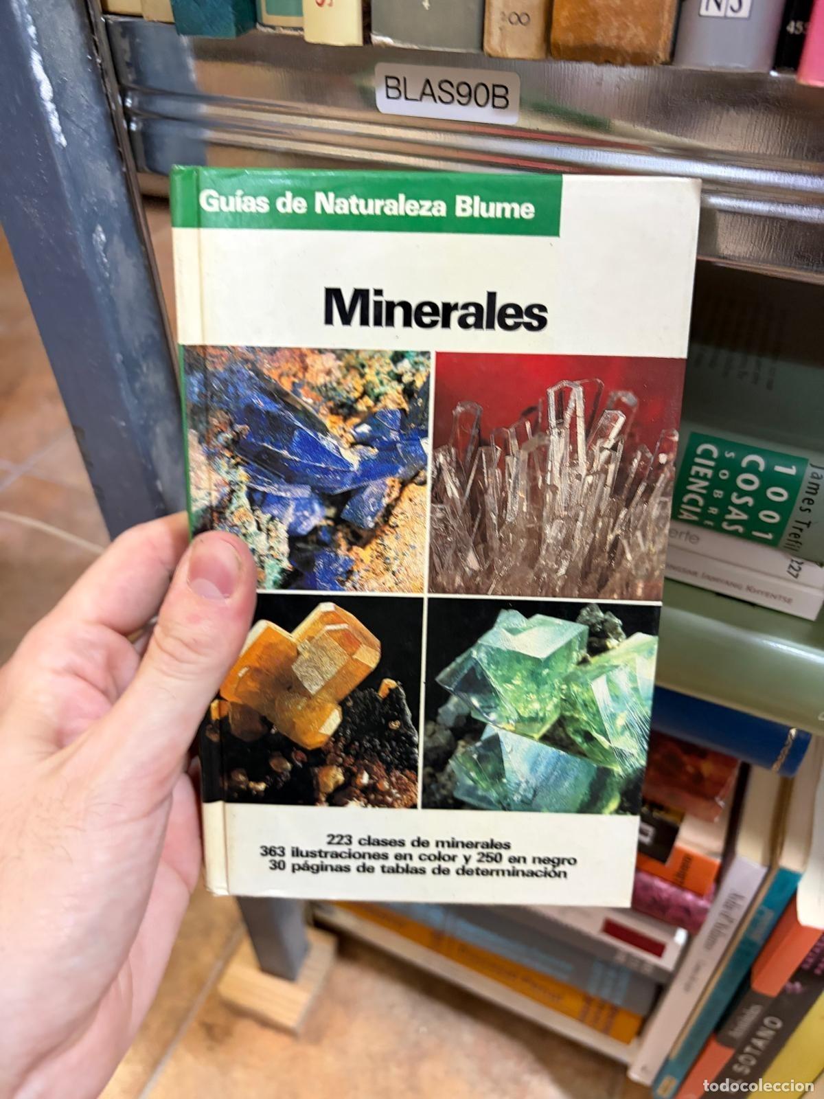 Libri di seconda mano: BLAS90B Minerales Gu&iacute;as de Naturaleza Blume Olaf Medenbach / Cornelia Sussieck-Fornefeld