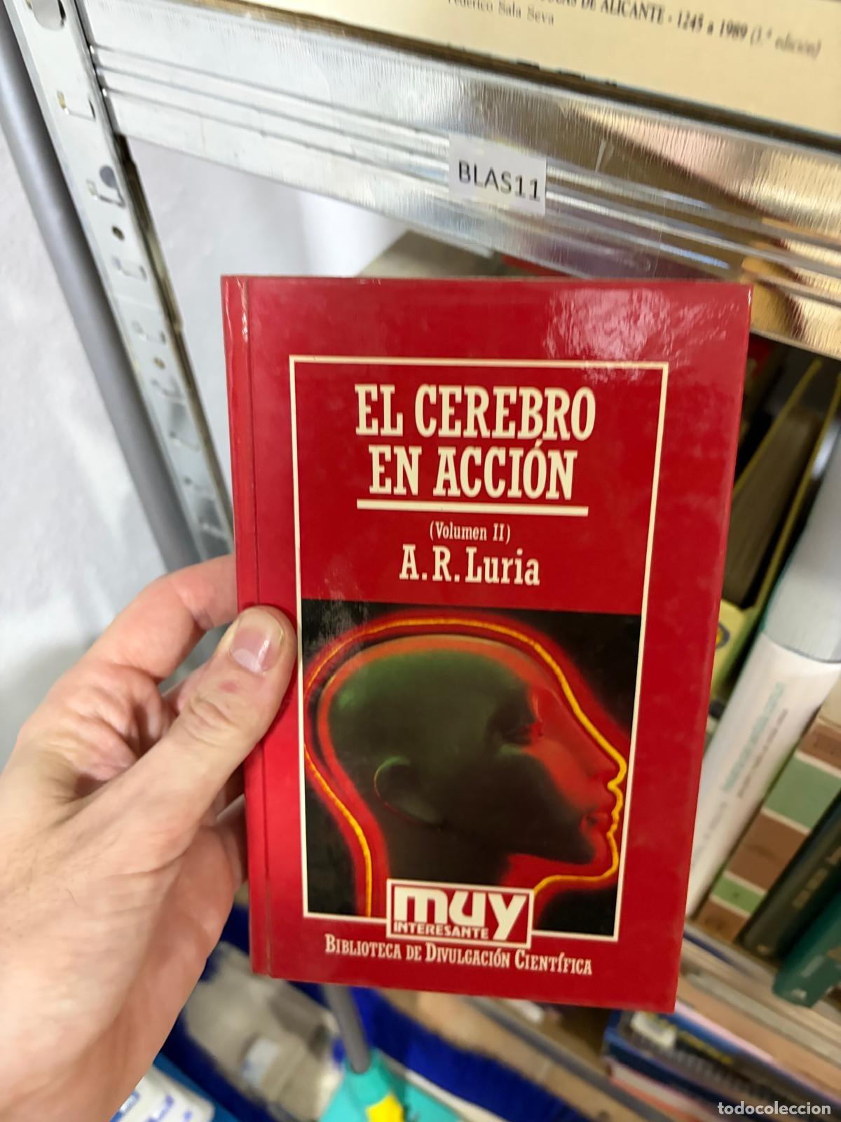 Libros de segunda mano: BLAS11 El cerebro en acci&oacute;n Volumen II A. R. Luria