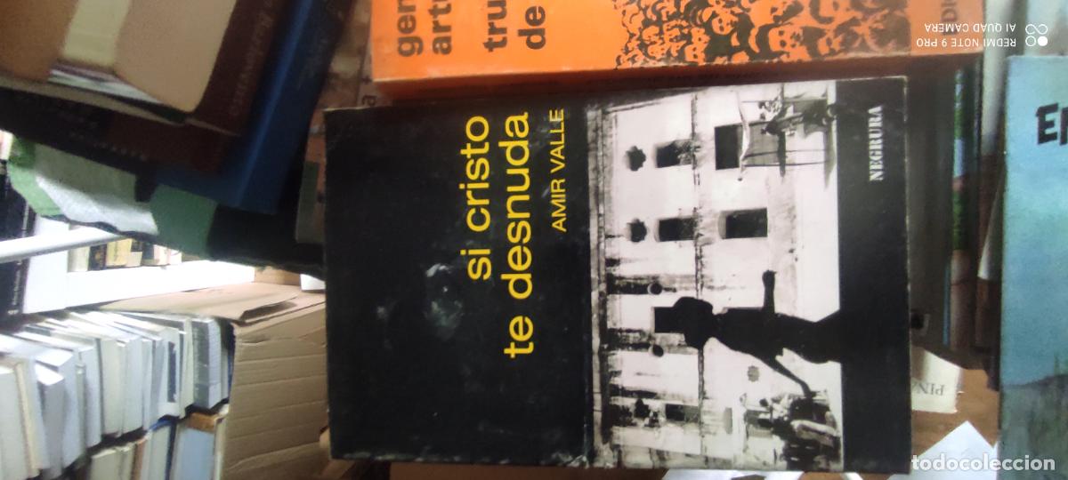 Libros de segunda mano: SI CRISTO TE DESNUDA - AMIR VALLE - EDIT NEGRURA ZOELA