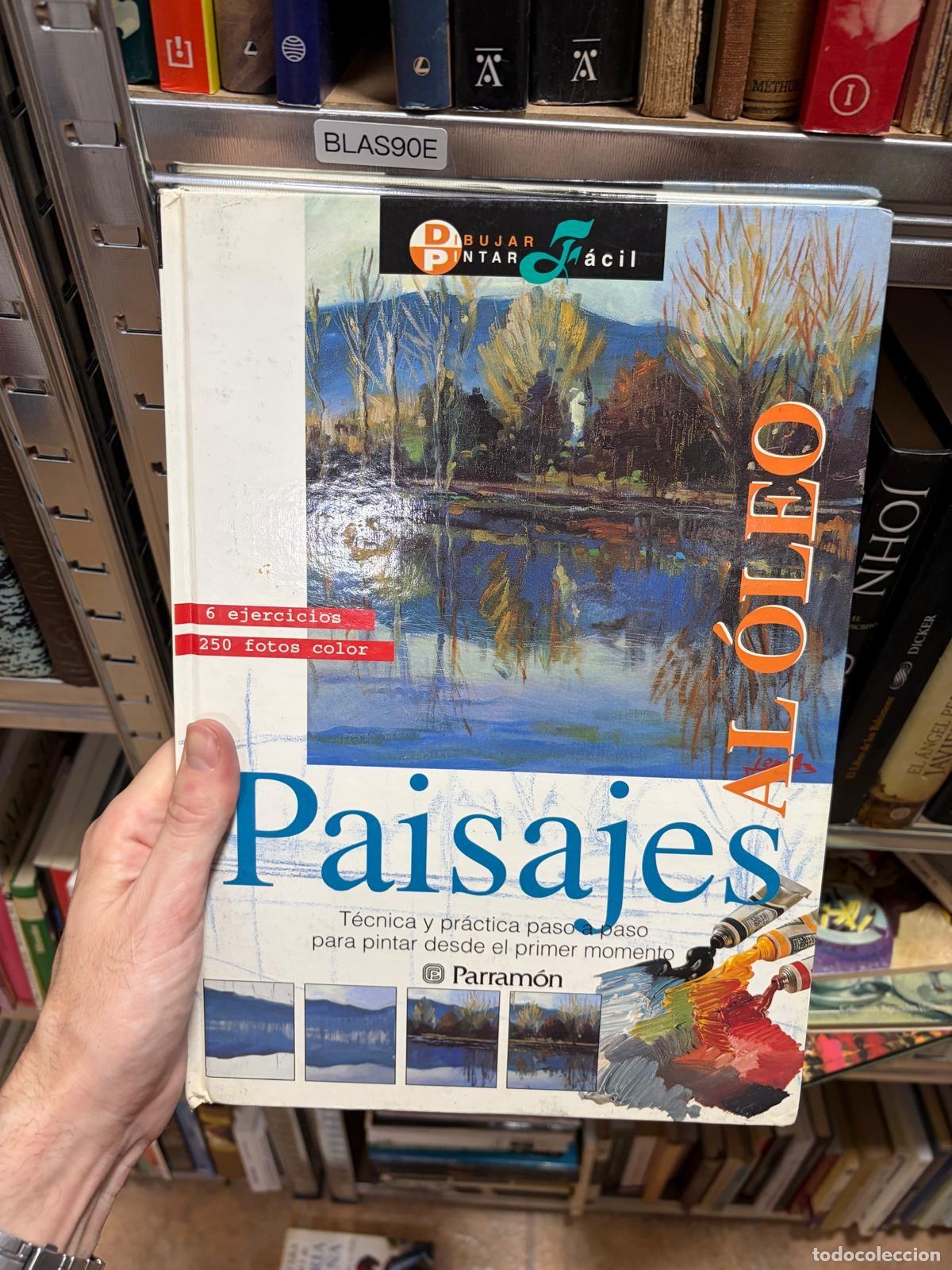 Libros de segunda mano: BLAS90E Paisajes T&eacute;cnica y pr&aacute;ctica paso a paso Parram&oacute;n