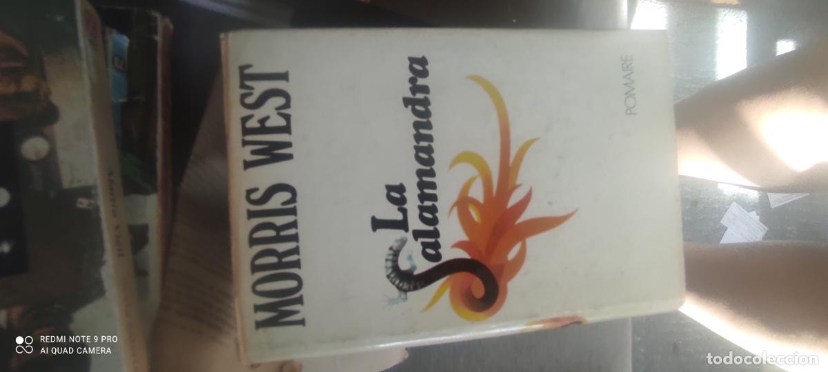 Libros de segunda mano: La salamandra, Morris west - Foto 1