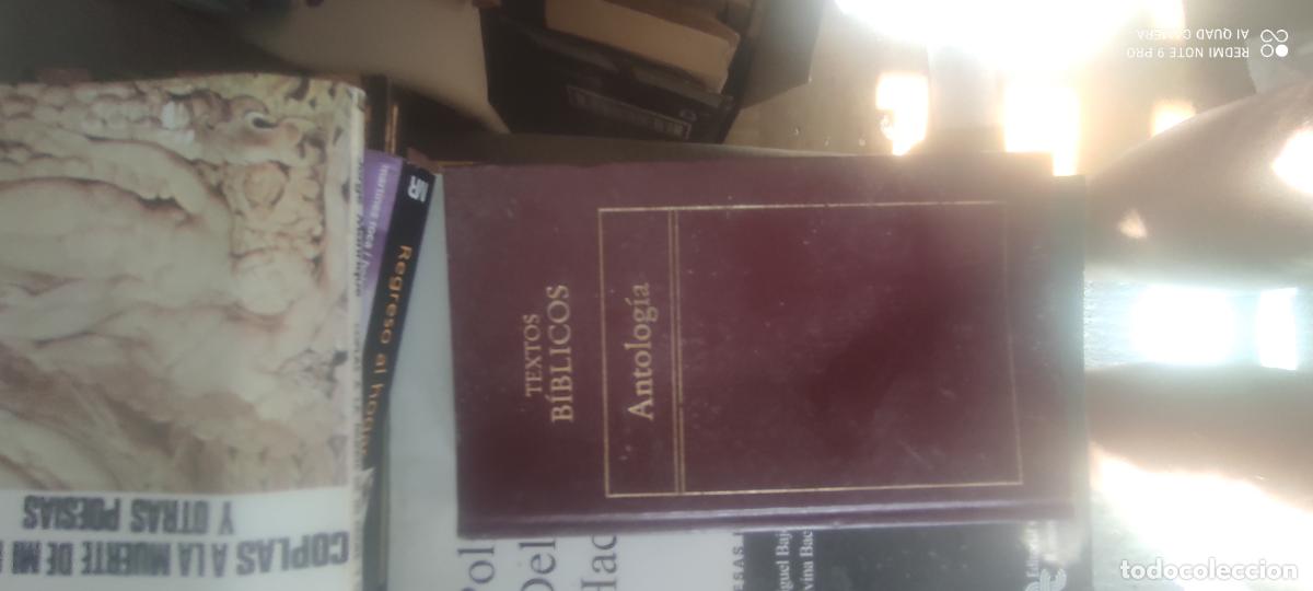 Libros de segunda mano: Antolog&iacute;a de Textos B&iacute;blicos, Orbis