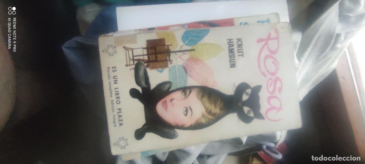 Libros de segunda mano: Rosa, de Knut Hansum