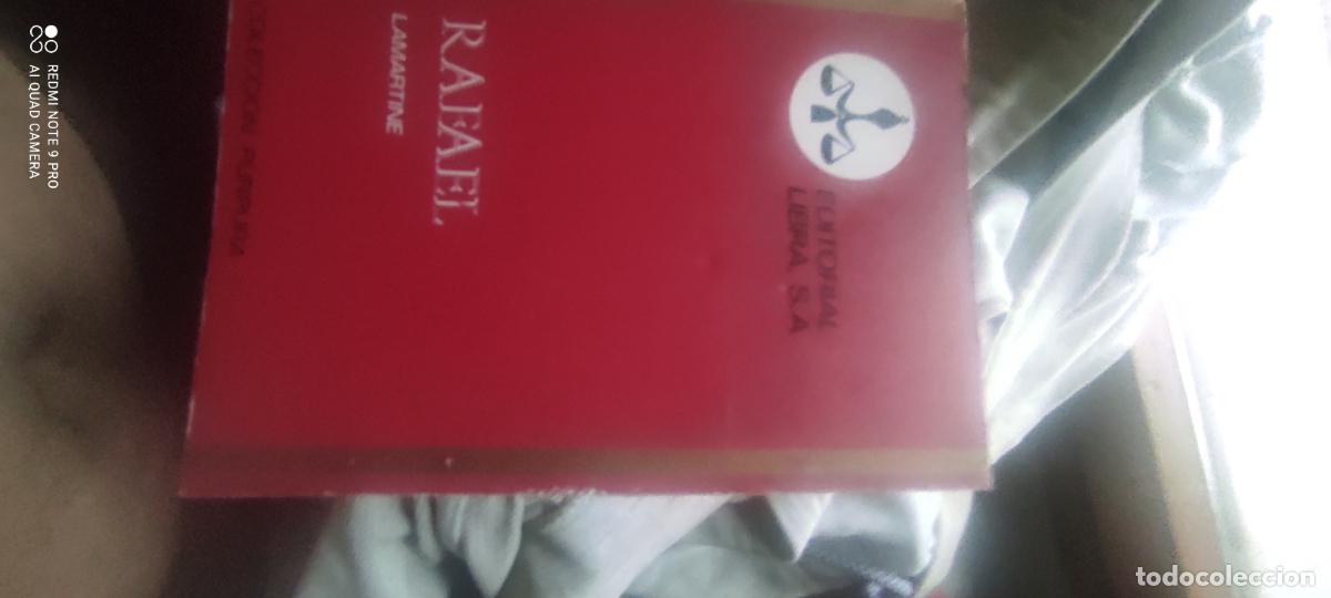 Libros de segunda mano: Rafael, de Lamartine. - Foto 1