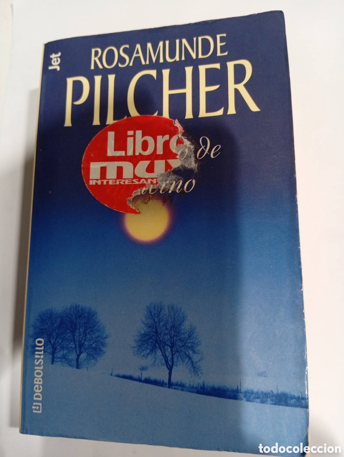 Libros de segunda mano: Solsticio de invierno Rosamunde Pilcher
