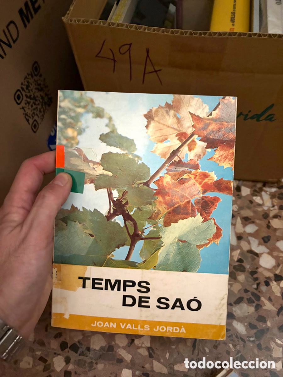 Libros de segunda mano: 49A TEMPS DE SAO JOAN VALLS JORDA