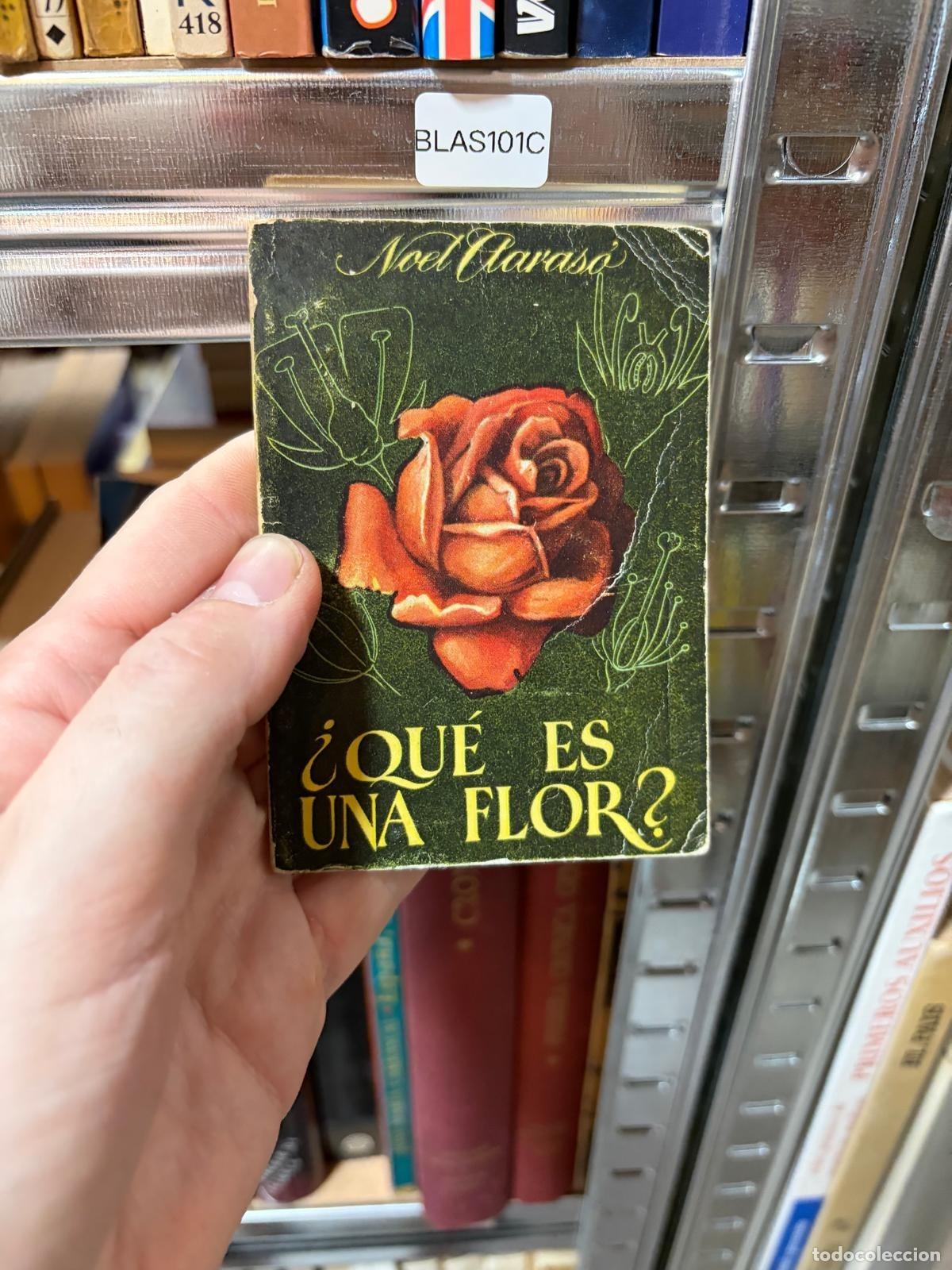 Libros de segunda mano: BLAS101C Noel Claras&oacute; &iquest;Qu&eacute; es una flor? -