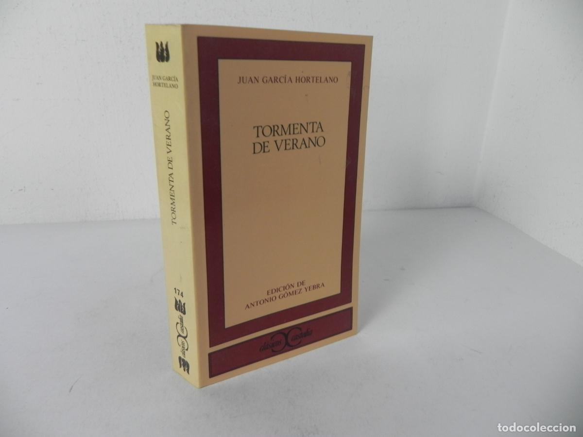 Libros de segunda mano: TORMENTA DE VERANO (JUAN GARC&Iacute;A HERTELANO) CLASICOS CASTALIA N&ordm; 174 - (1989)