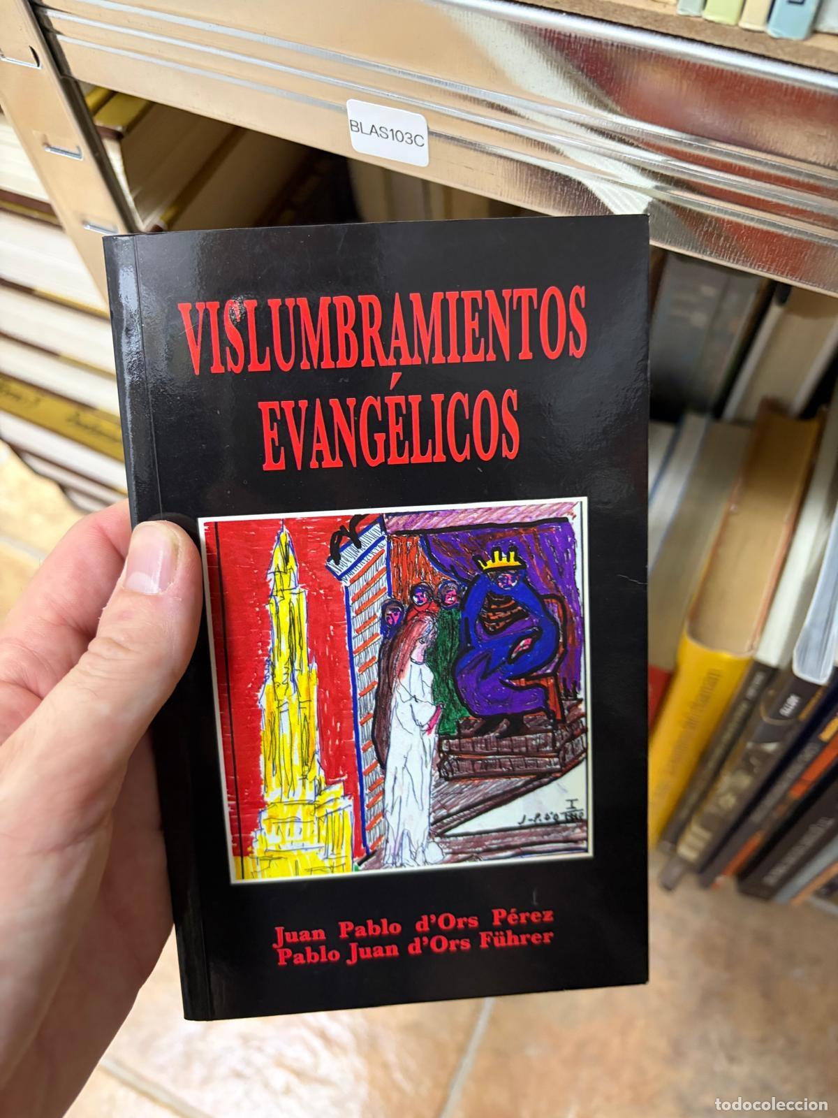 Libros de segunda mano: BLAS103C Juan Pablo d'Ors P&eacute;rez / Pablo Juan d'Ors F&uuml;hrer - Vislumbramientos evang&eacute;licos