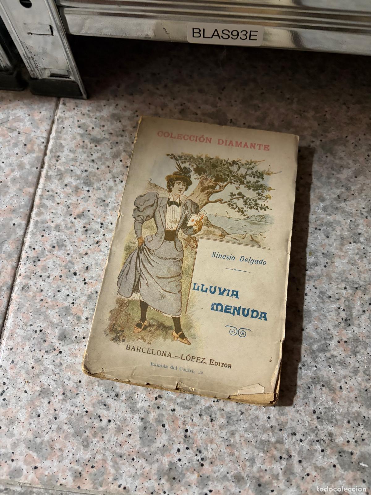 Libros de segunda mano: BLAS93E Sinesio Delgado - Lluvia menuda - Colecci&oacute;n Diamante