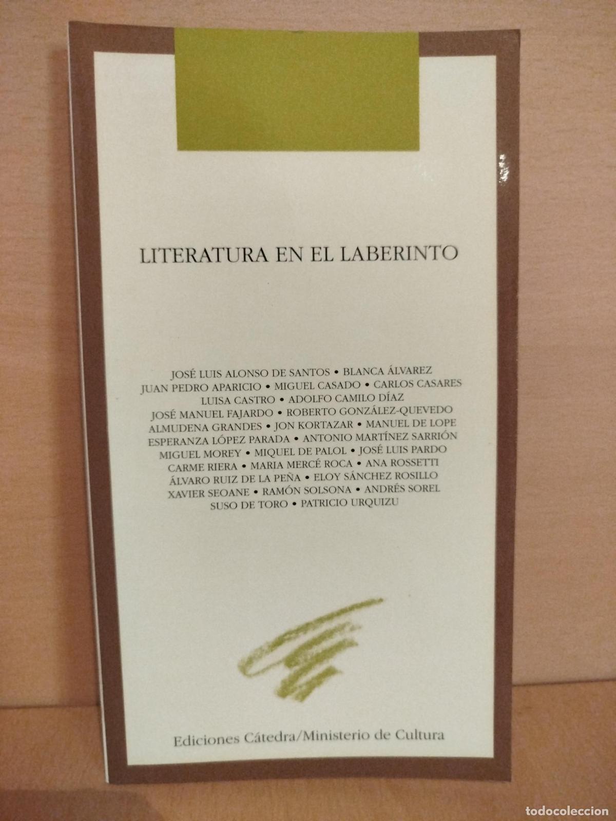 Libri di seconda mano: Literatura en el laberinto - ALONSO SANTOS JOSE LUIS ALVAREZ BLANCA