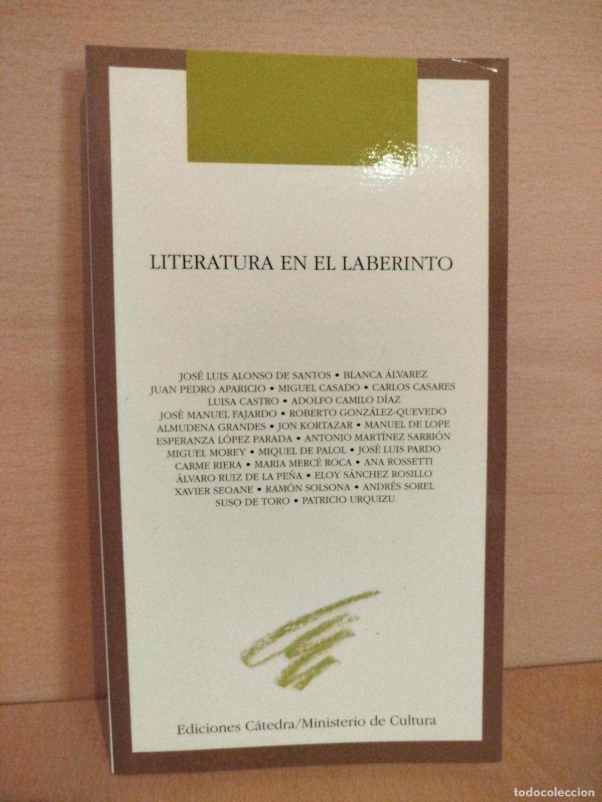 Libri di seconda mano: Literatura en el laberinto - ALONSO SANTOS JOSE LUIS ALVAREZ BLANCA