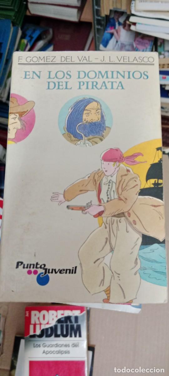 Libros de segunda mano: En los dominios del pirata.- Gomez del Val, Fernando LIBRO CU-05