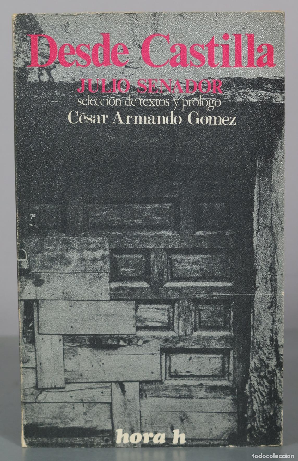 Libros de segunda mano: Desde Castilla - Julio Senador, C&eacute;sar Armando G&oacute;mez - hora h
