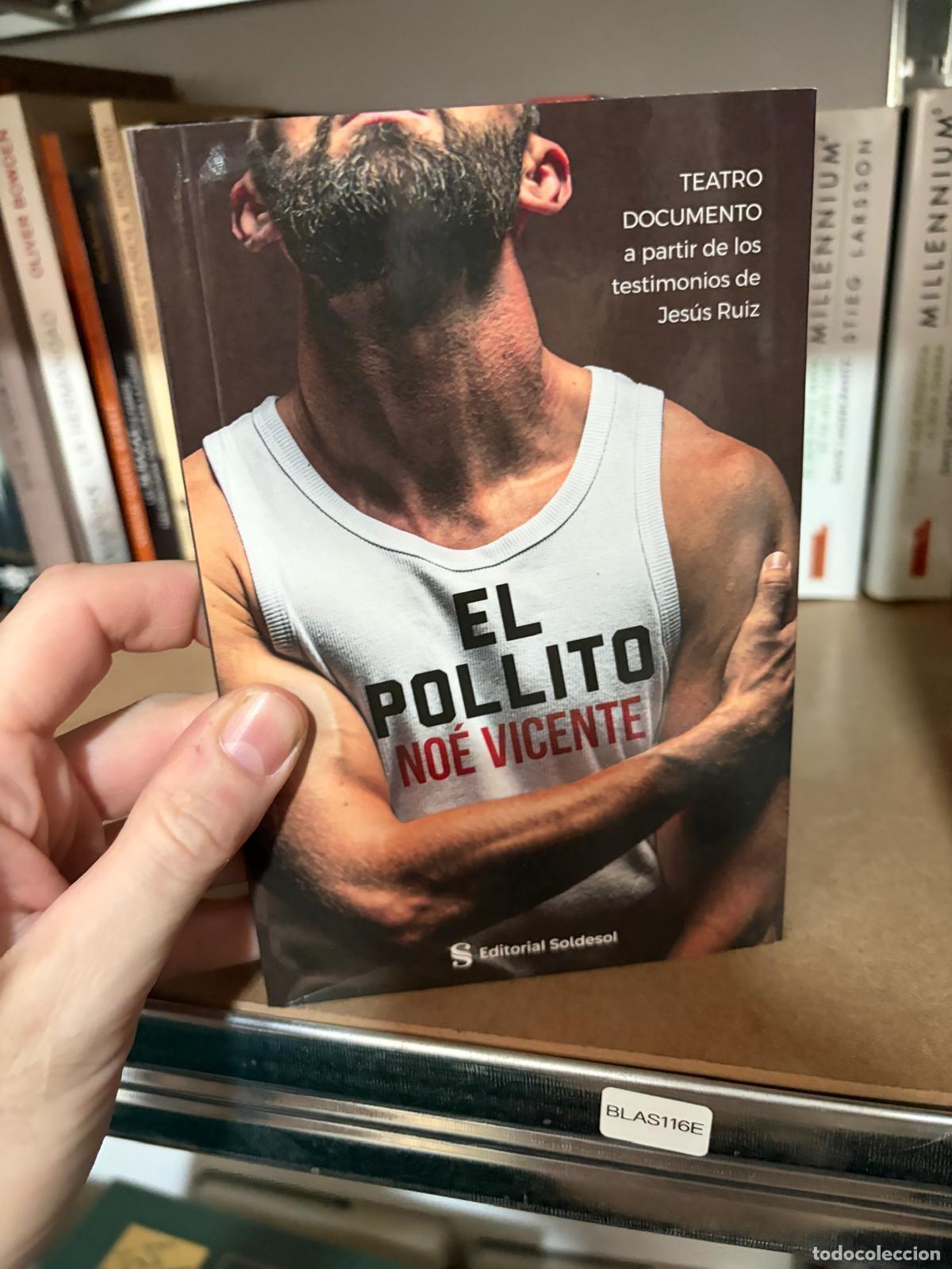 Libros de segunda mano: BLAS116E - No&eacute; Vicente - El Pollito - Editorial Soldesol