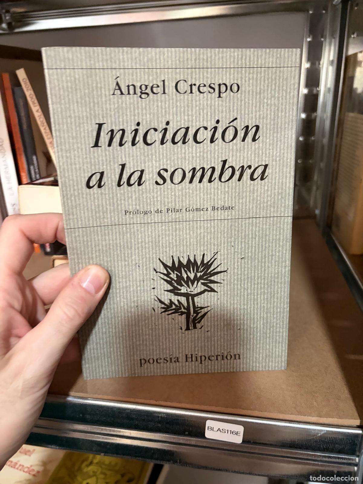 Libros de segunda mano: BLAS116E &Aacute;ngel Crespo Iniciaci&oacute;n a la sombra Poes&iacute;a Hiperi&oacute;n