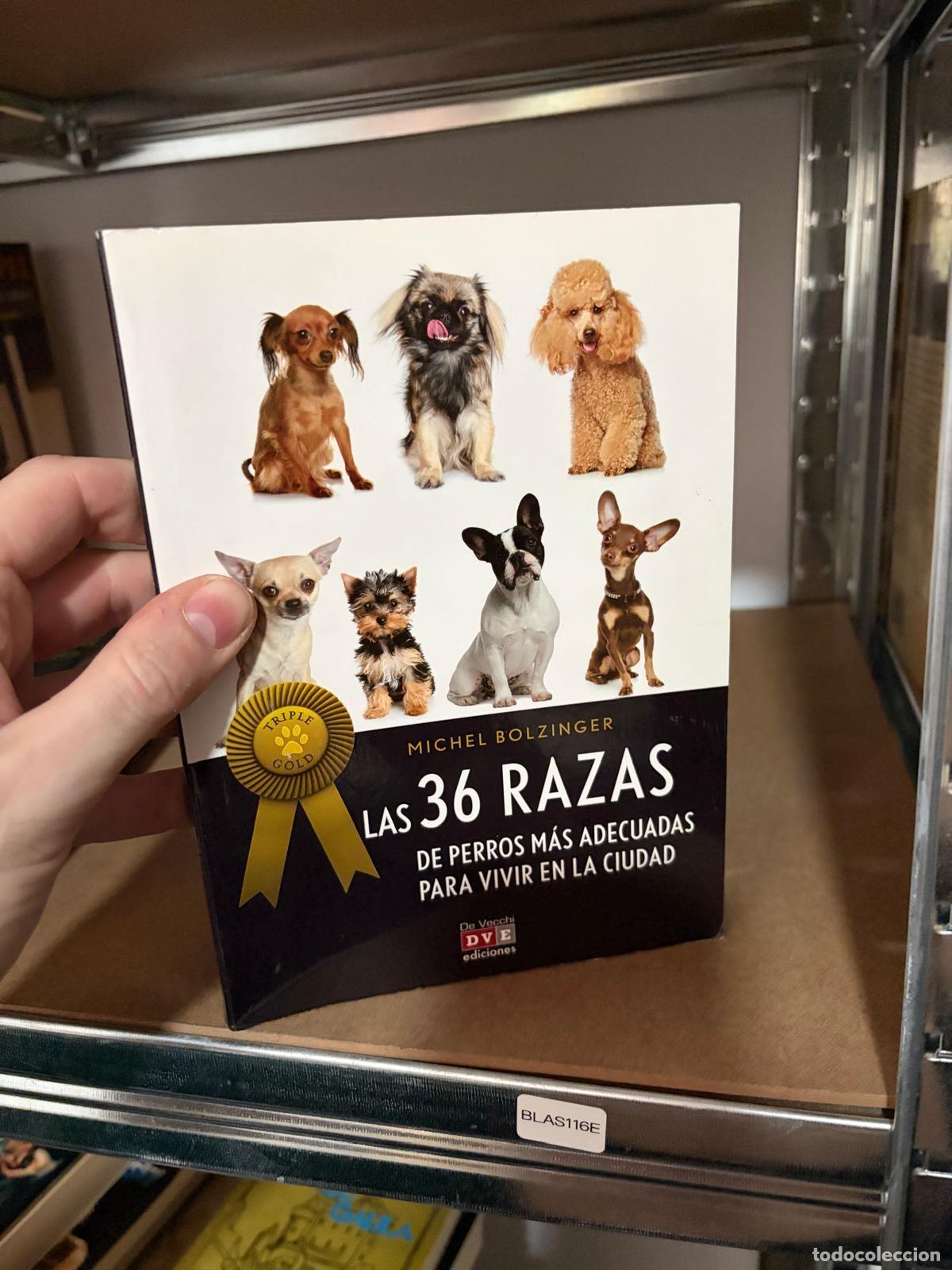 Libros de segunda mano: BLAS116E Michel Bolzinger Las 36 razas de perros m&aacute;s adecuadas para vivir en la ciudad De Vecchi