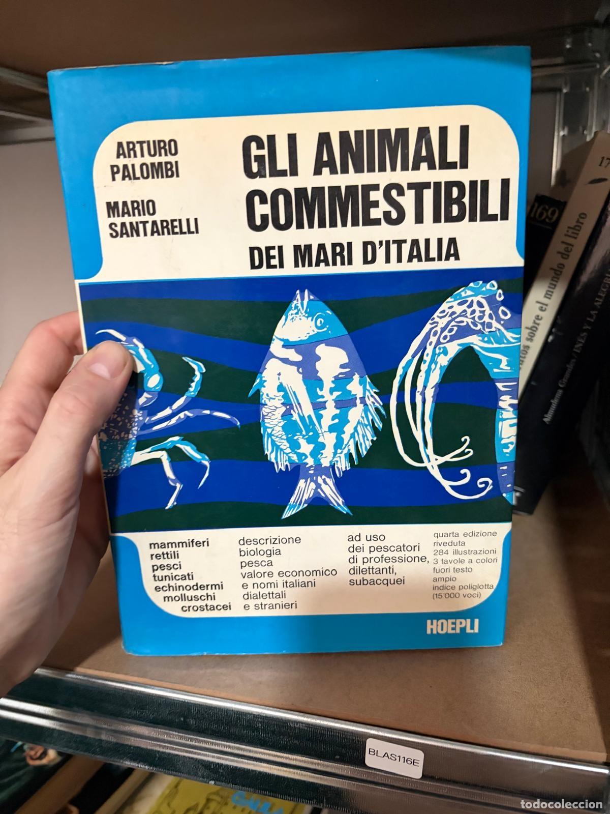 Libros de segunda mano: BLAS116E Arturo Palombi y Mario Santarelli Gli animali commestibili dei mari d'Italia Hoepli