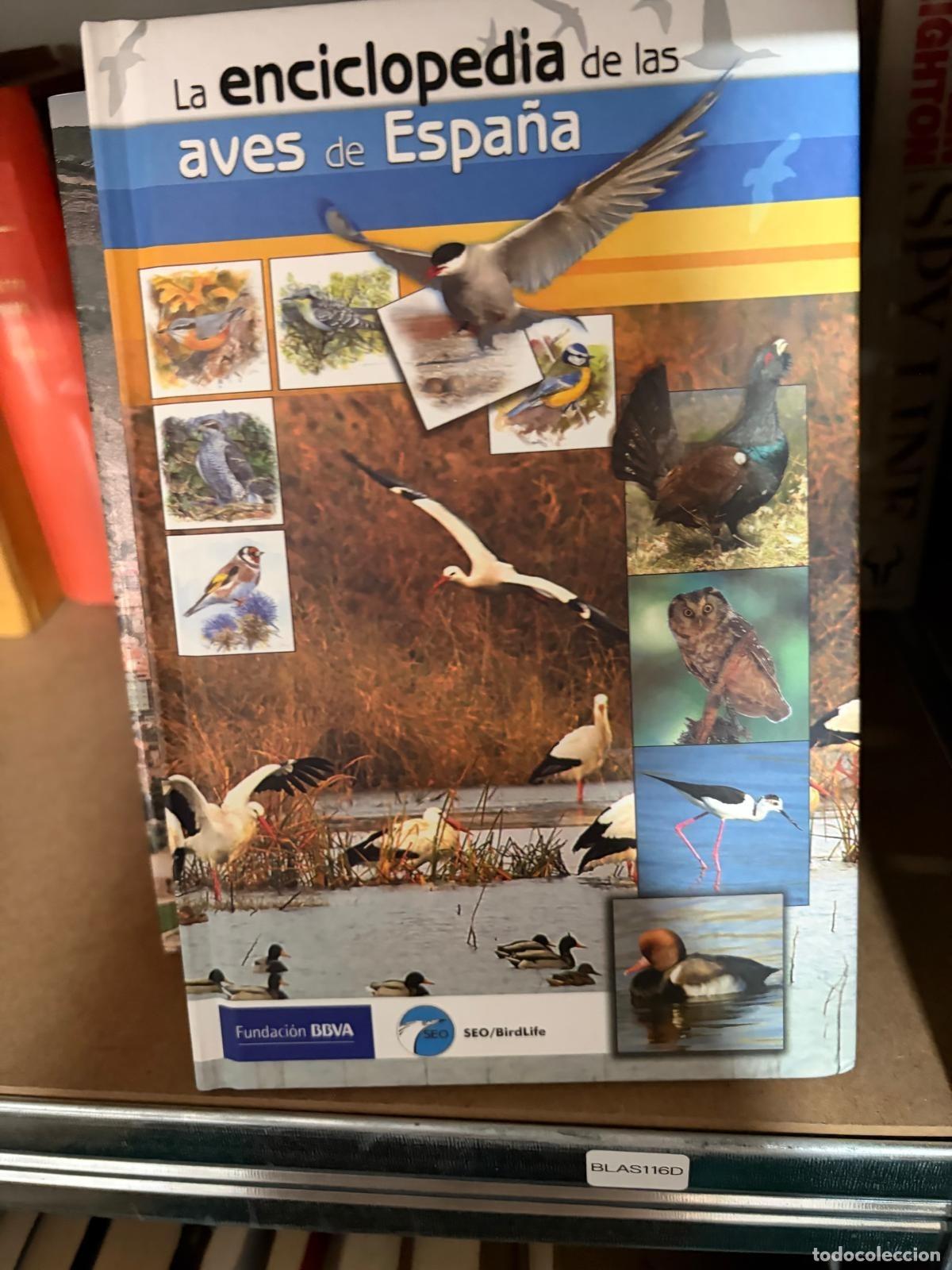 Libros de segunda mano: BLAS116D - La enciclopedia de las aves de Espa&ntilde;a - SEO/BirdLife
