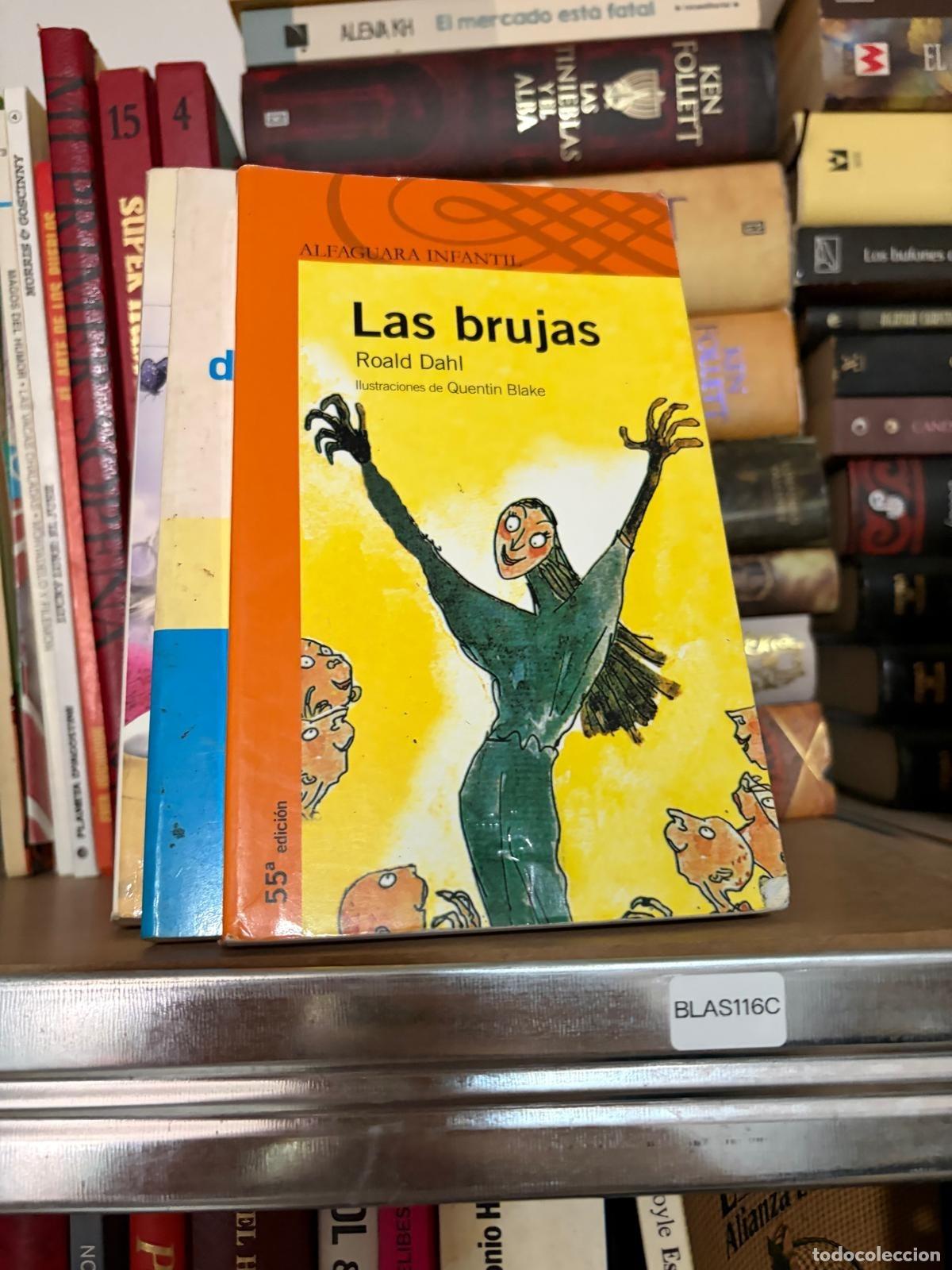 Libros de segunda mano: BLAS116C Roald Dahl - Las brujas - Alfaguara Infantil