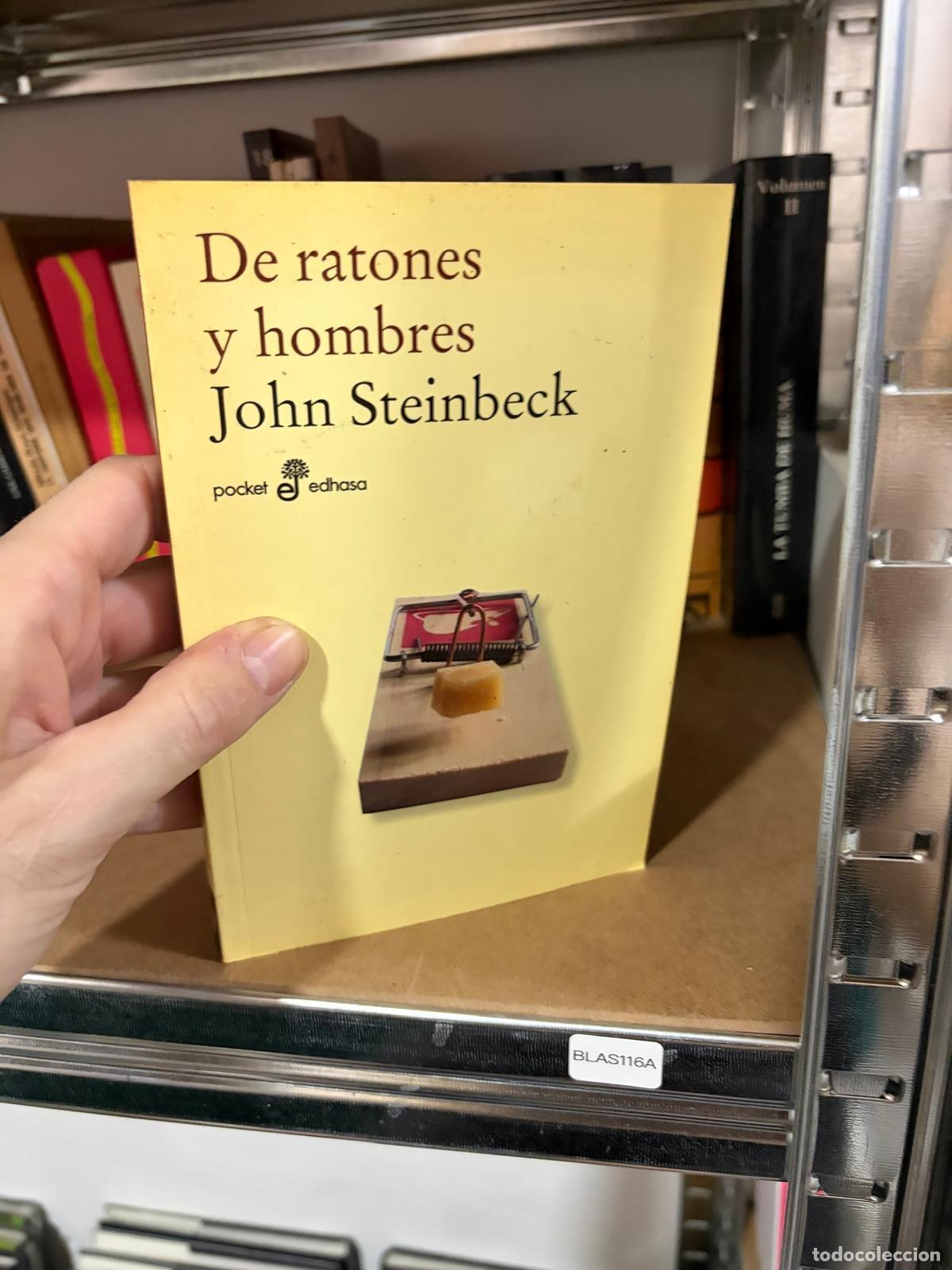Libros de segunda mano: BLAS116A - John Steinbeck - De ratones y hombres - Pocket Edhasa