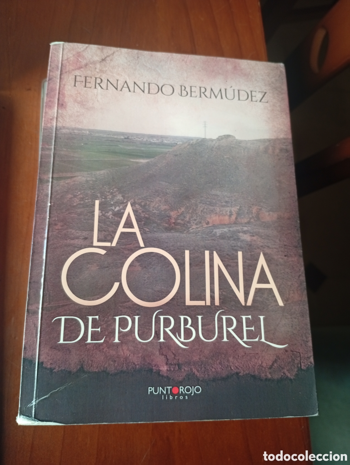 Gebrauchte B&uuml;cher: LA COLINA DE PURBUREL LIBROS PUNTO ROJO FERNANDO BERMUDEZ