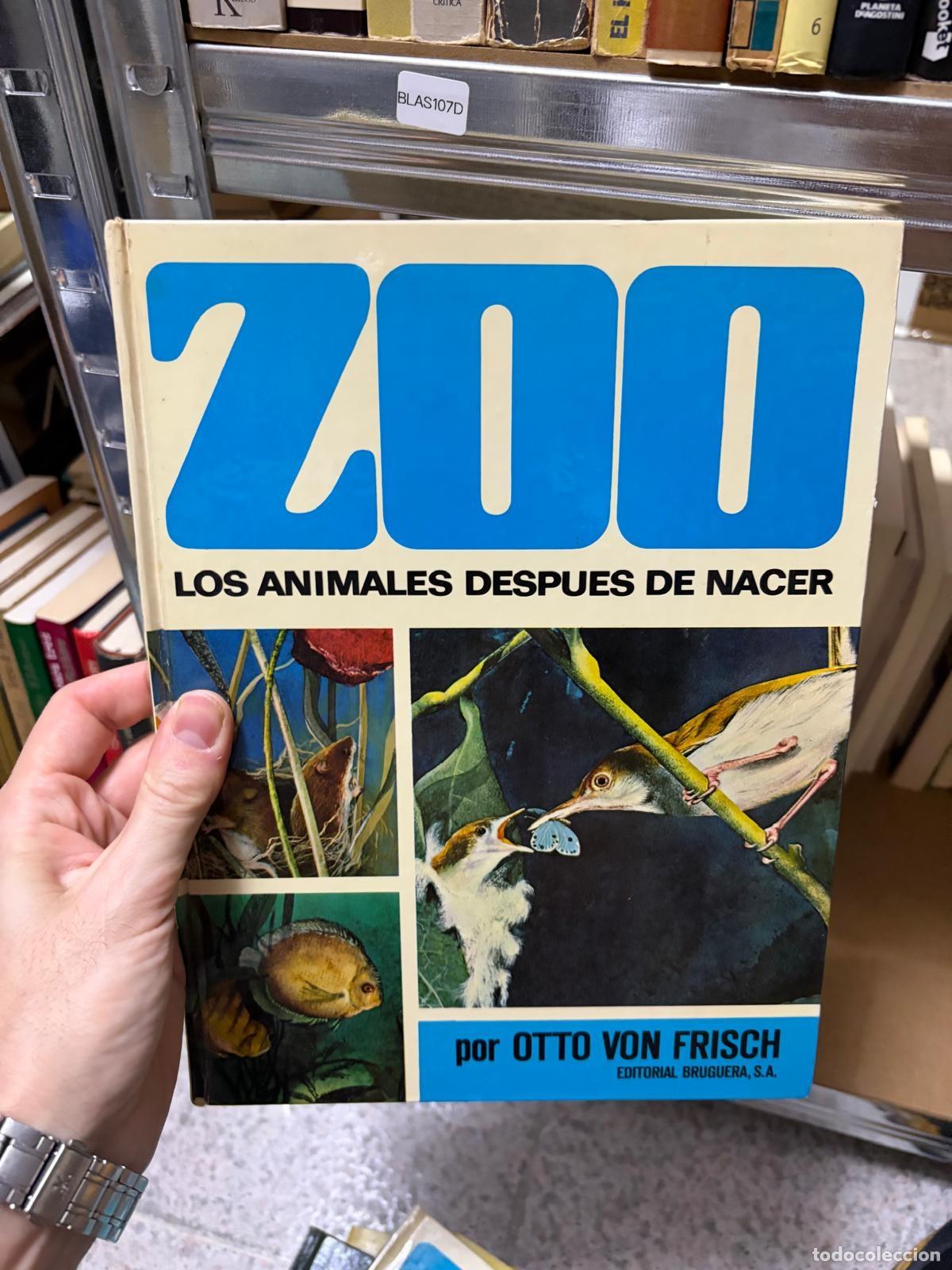 Libros de segunda mano: BLAS107D - Otto von Frisch - Zoo. Los animales despu&eacute;s de nacer - Editorial Bruguera, S.A.