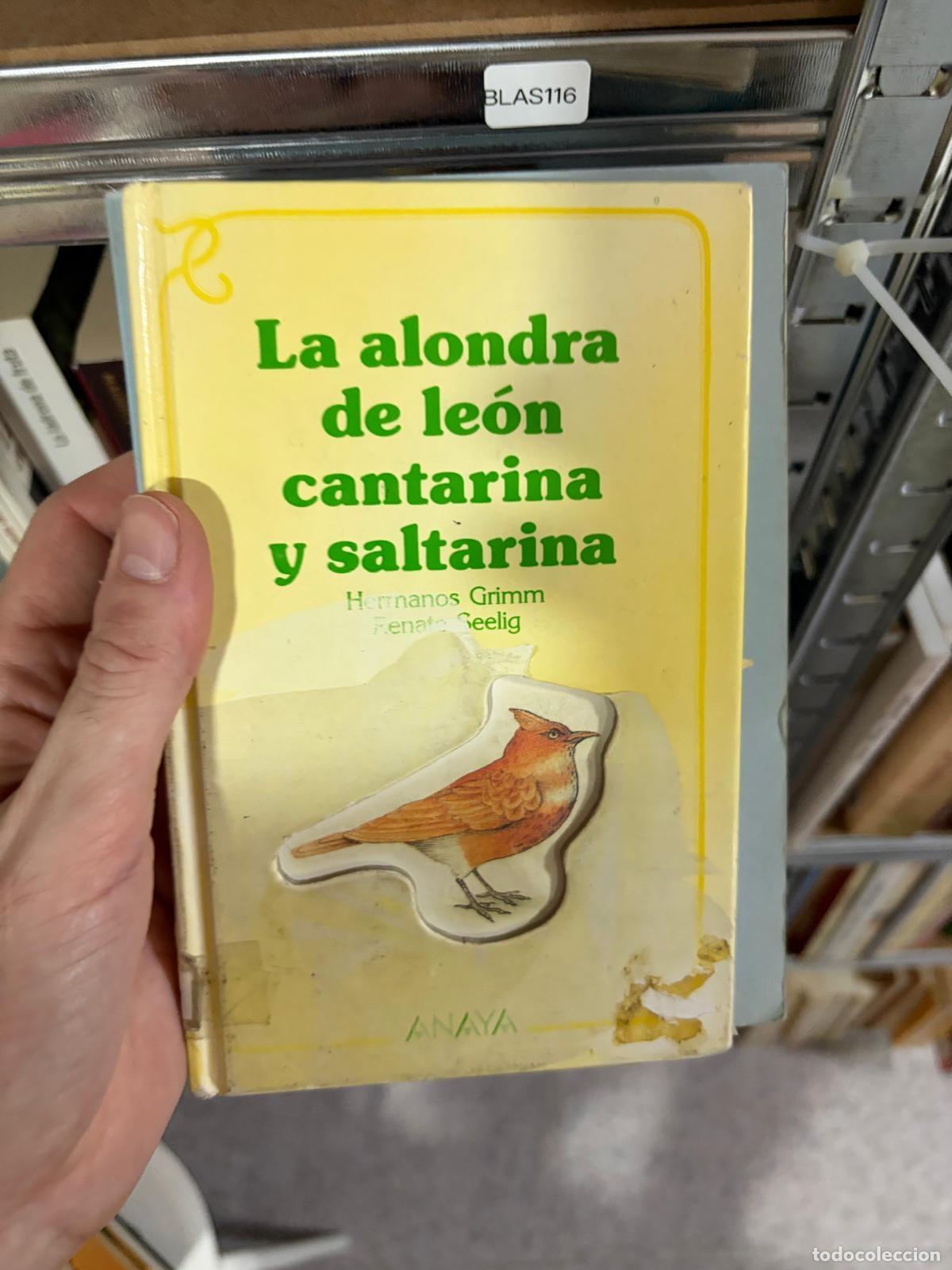 Libros de segunda mano: BLAS116 - Hermanos Grimm - La alondra de le&oacute;n cantarina y saltarina - Anaya
