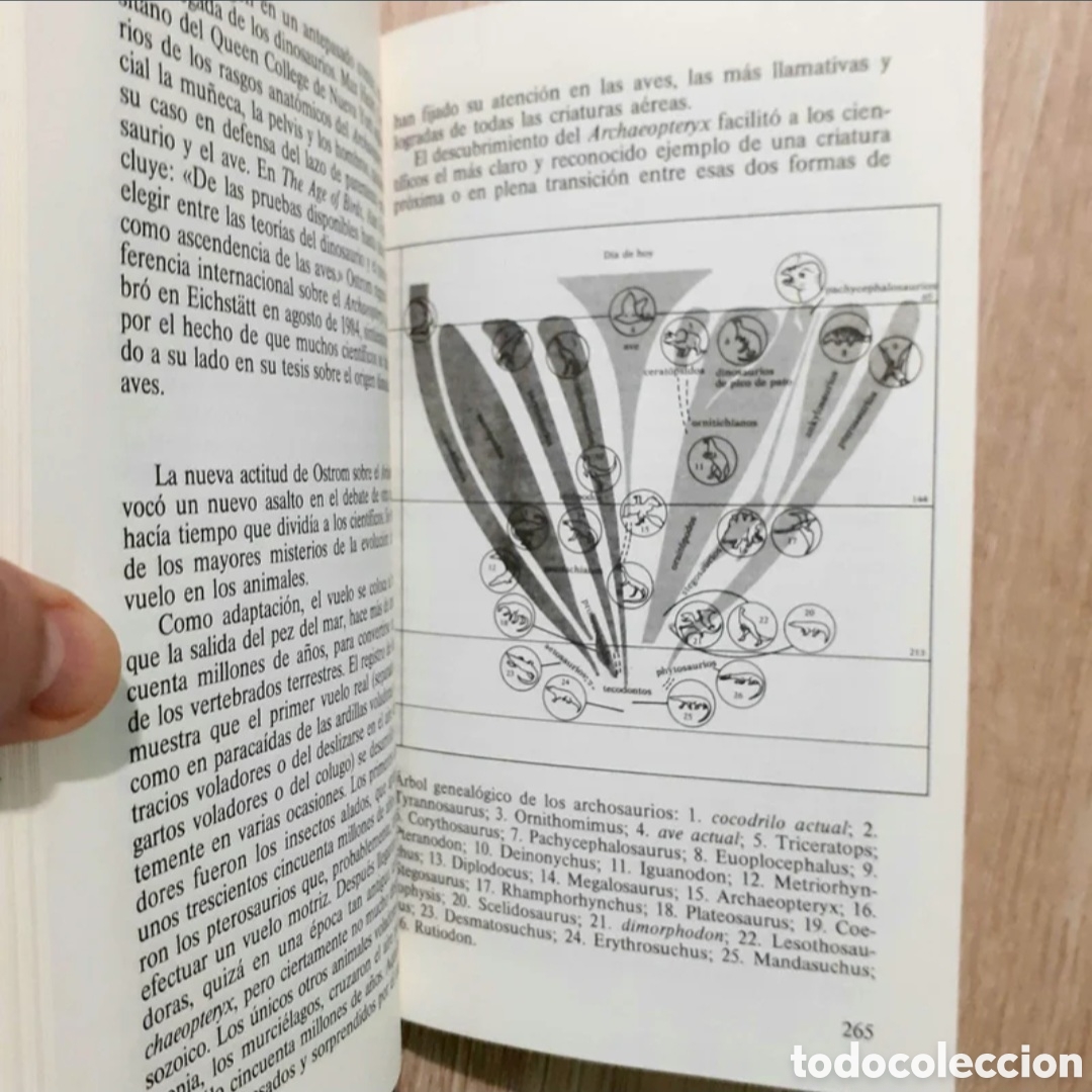 Libros de segunda mano: Libros variados a 3&euro; cada uno - Foto 10