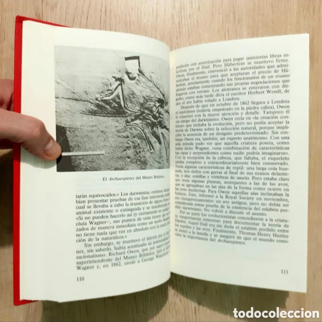 Libros de segunda mano: Libros variados a 3&euro; cada uno - Foto 13