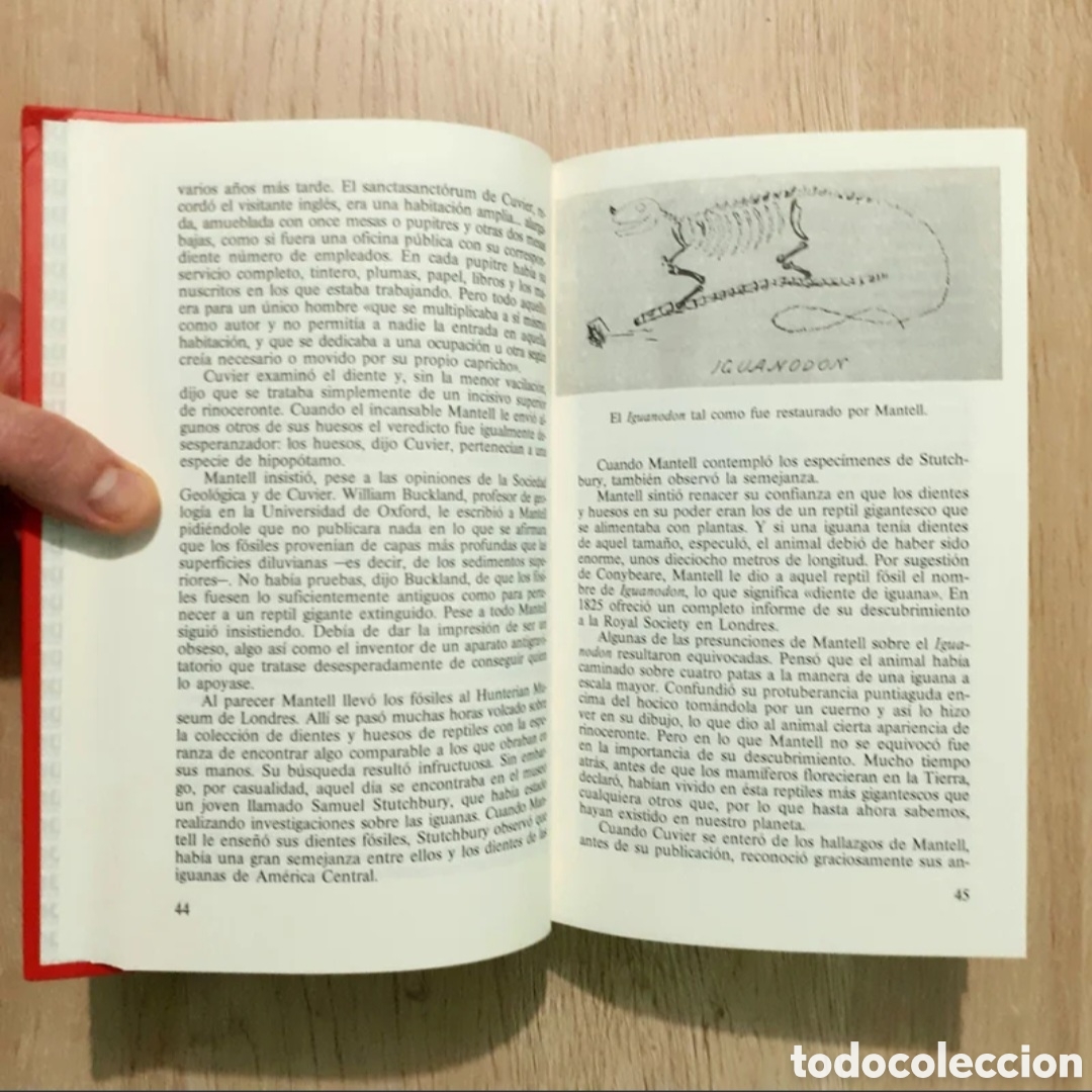 Libros de segunda mano: Libros variados a 3&euro; cada uno - Foto 15