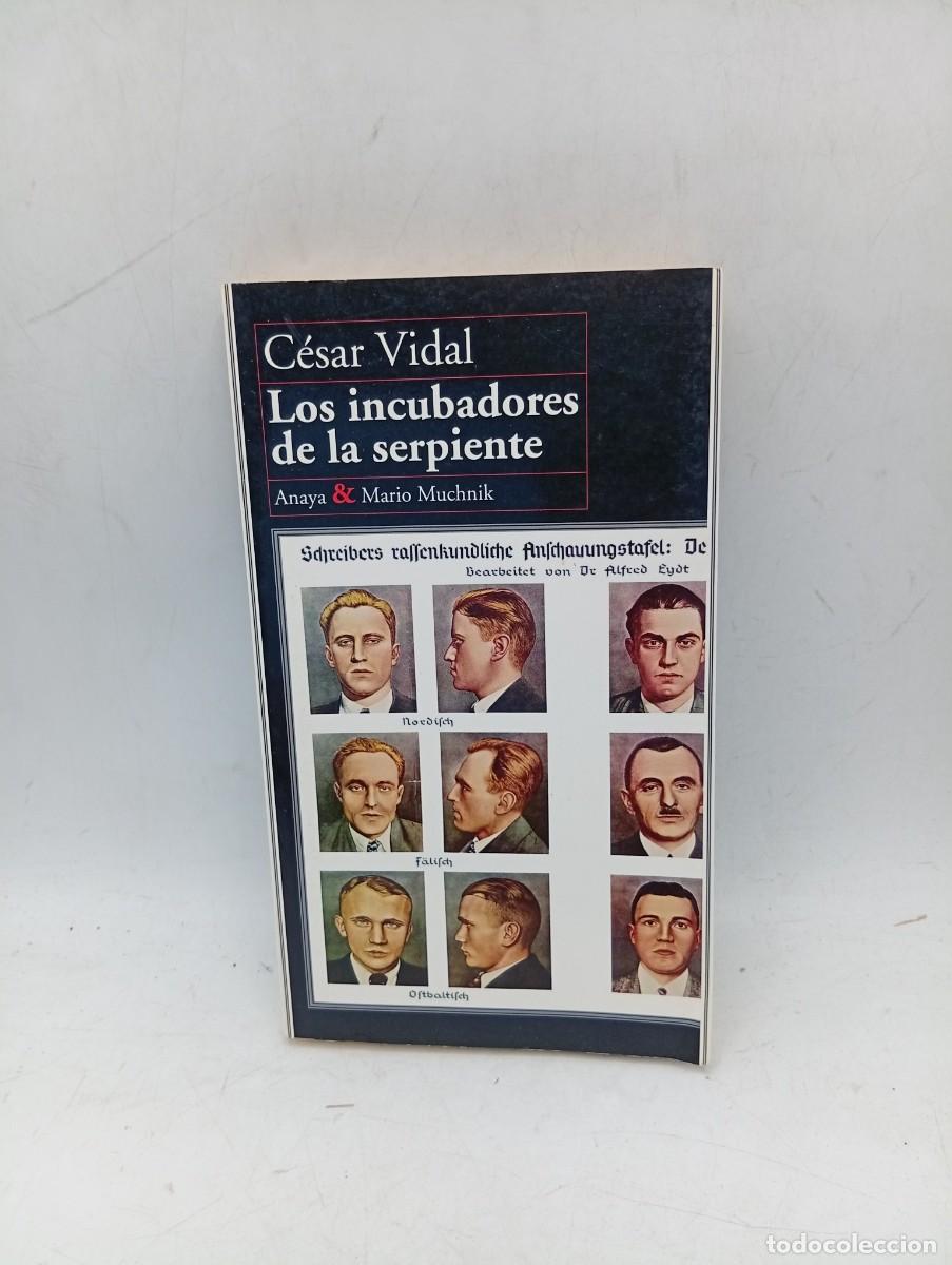 Libros de segunda mano: LOS INCUBADORES DE LA SERPIENTE. C&Eacute;SAR VIDAL. ANAYA&MARIO MUCHNIK. 1997. PAGS: 299.
