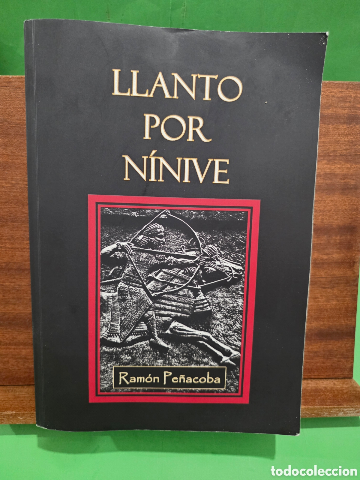 Libros de segunda mano: &rdquo;&rdquo;LLANTO POR N&Iacute;NIVE&rdquo;&rdquo;...RAM&Oacute;N PE&Ntilde;ACOBA.....