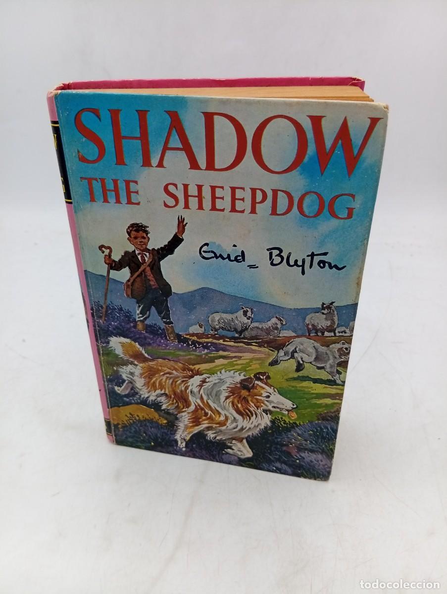 Libros de segunda mano: SHADOW THE SHEEP-DOG. ENID BLYTON&acute;S. 1977. PAGS : 184.