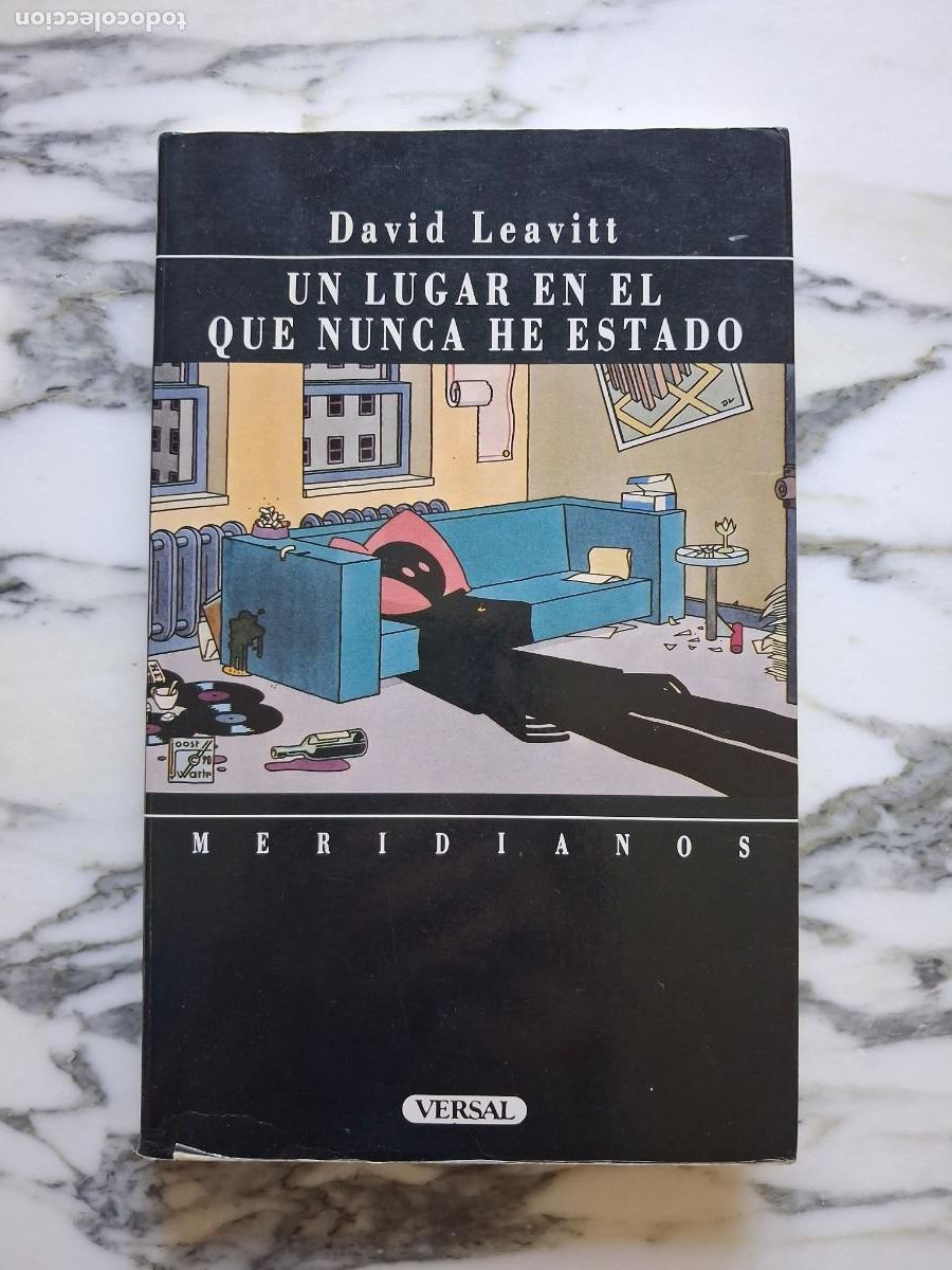 Libros de segunda mano: UN LUGAR EN EL QUE NUNCA HE ESTADO - DAVID LEAVITT - VERSAL - 1990