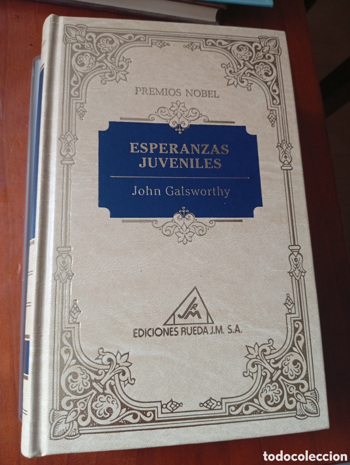 Libros de segunda mano: ESPERANZAS JUVENILES JOHN GALSWORTHY PREMIOS NOBEL EDICIONES RUEDA