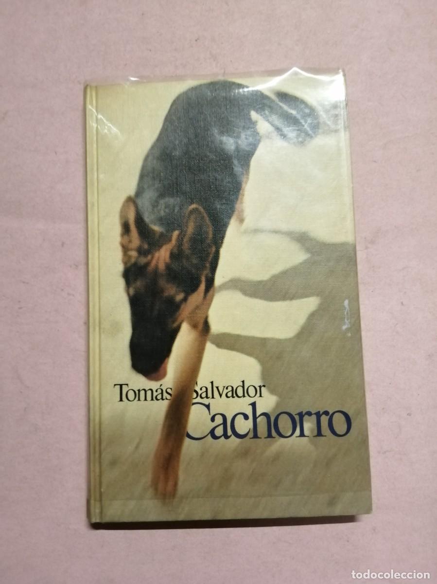 Libros de segunda mano: CACHORRO (TOMAS SALVADOR)
