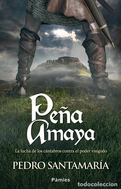 Second hand books: Pe&ntilde;a Amaya. - Santamar&iacute;a Fern&aacute;ndez, Pedro.