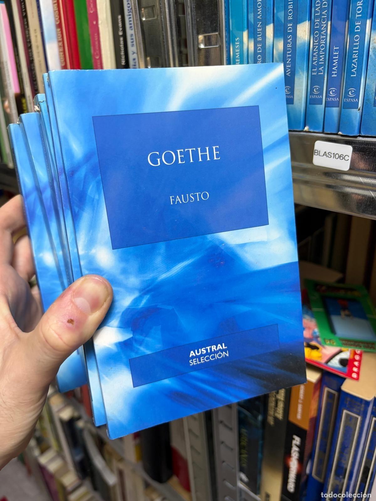 Gebrauchte B&uuml;cher: BLAS106C Goethe Fausto Austral Selecci&oacute;n