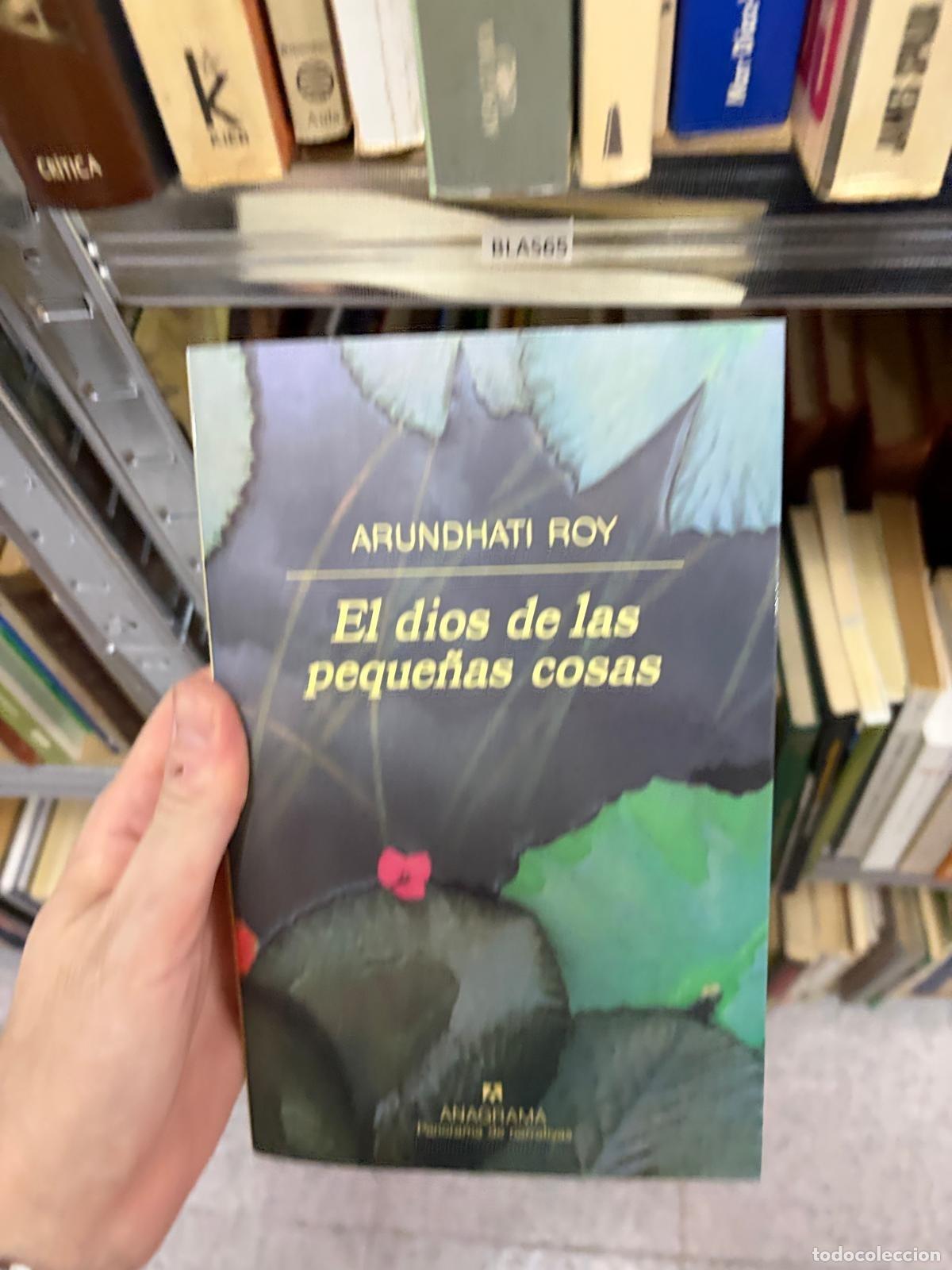 Libros de segunda mano: BLAS- - Amalia Roy - Al otro lado de las peque&ntilde;as cosas