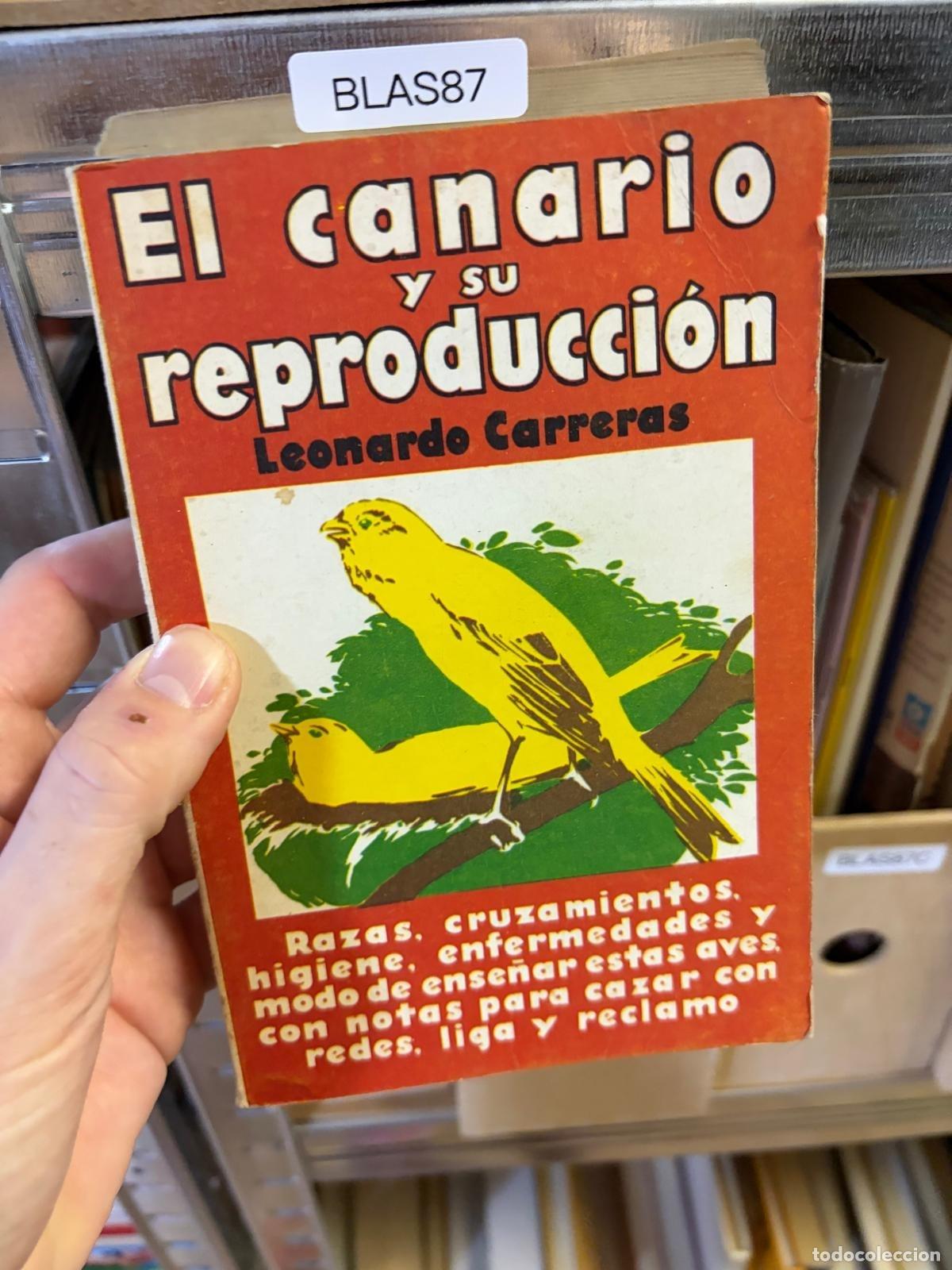Libros de segunda mano: BLAS- - Leonardo Carrero - El canario y su reproducci&oacute;n