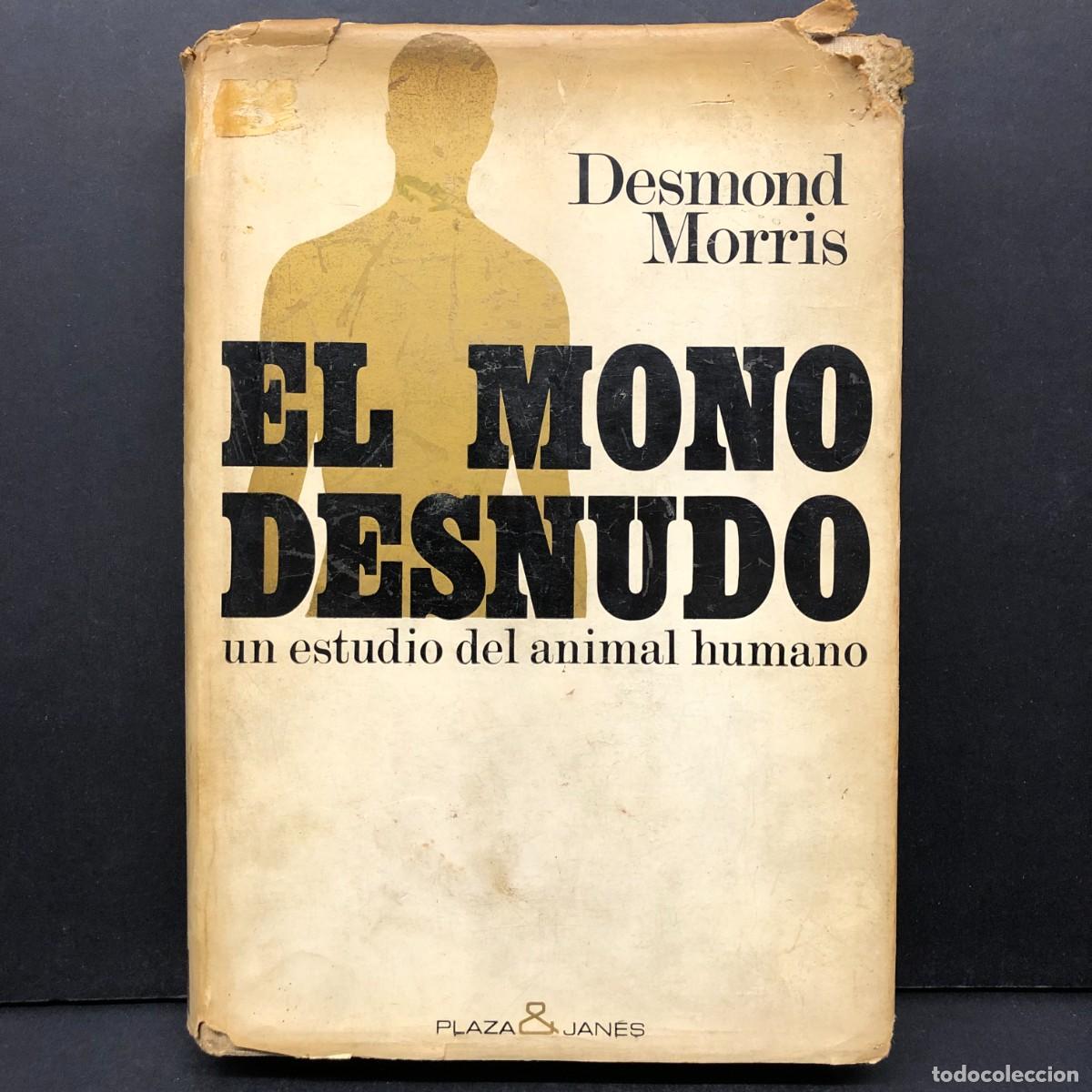 Libros de segunda mano: EL MONO DESNUDO - DESMOND MORRIS - UN ESTUIDO DEL ANIMAL HUMANO / 178