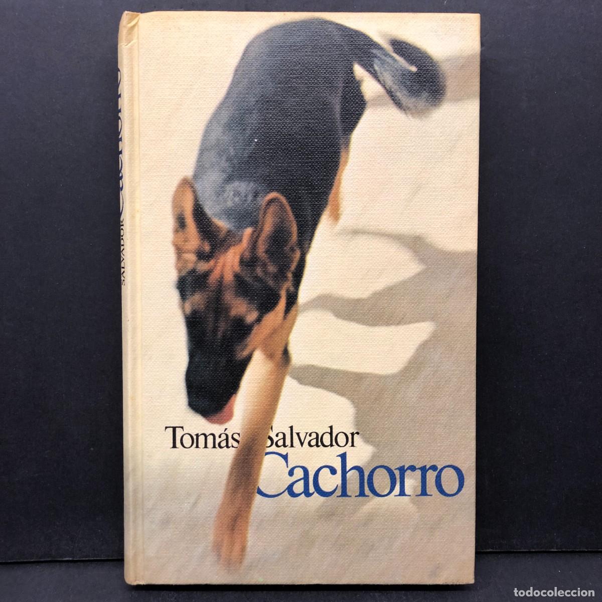 Libros de segunda mano: TOM&Aacute;S SALVADOR - CACHORRO - C&Iacute;RCULO DE LECTORES / 194