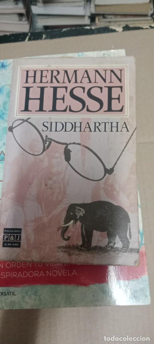 Libros de segunda mano: HERMANN HESSE - SIDDHARTHA LIBRO GG-RM